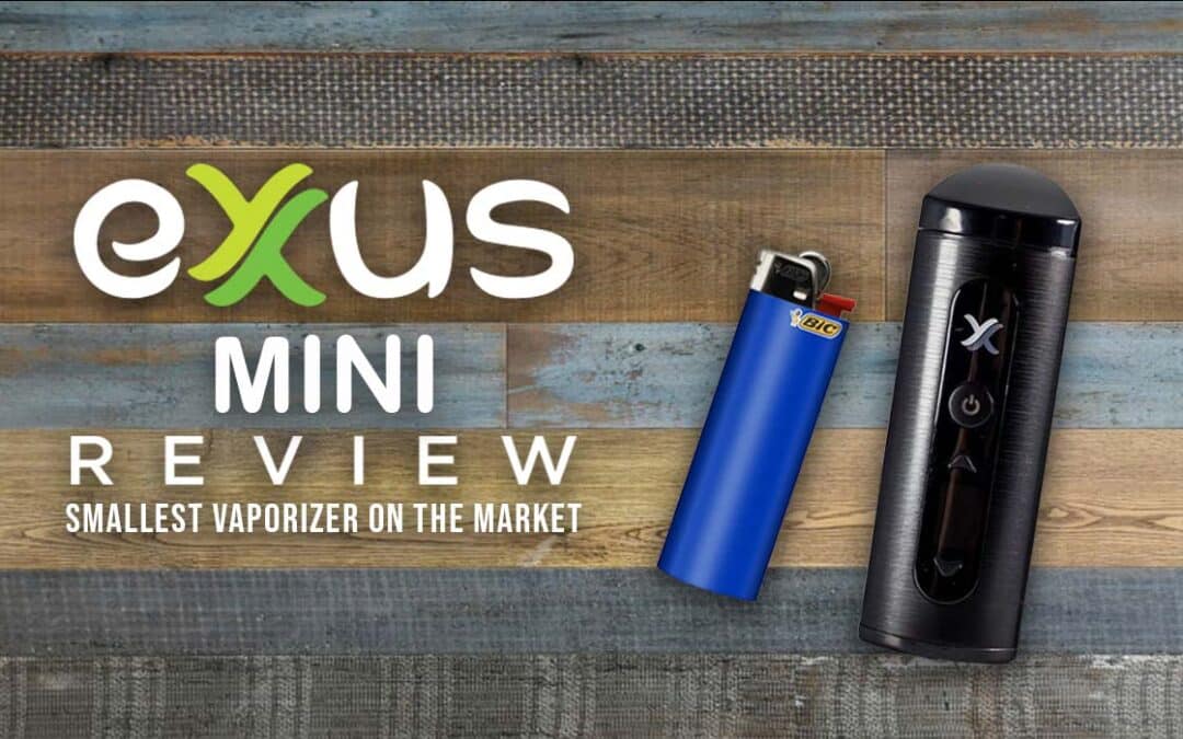 Exxus Mini Review