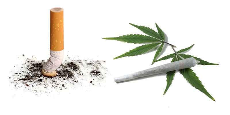 Smoking Marijuana vs Tobacco