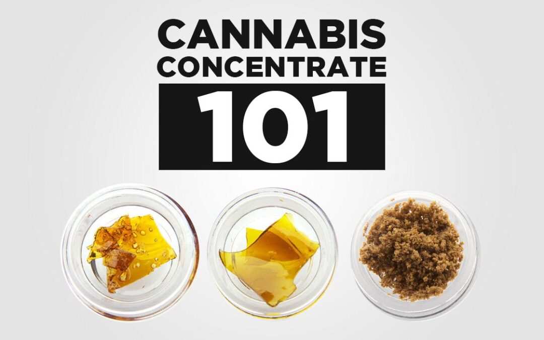 Cannabis Concentrate 101