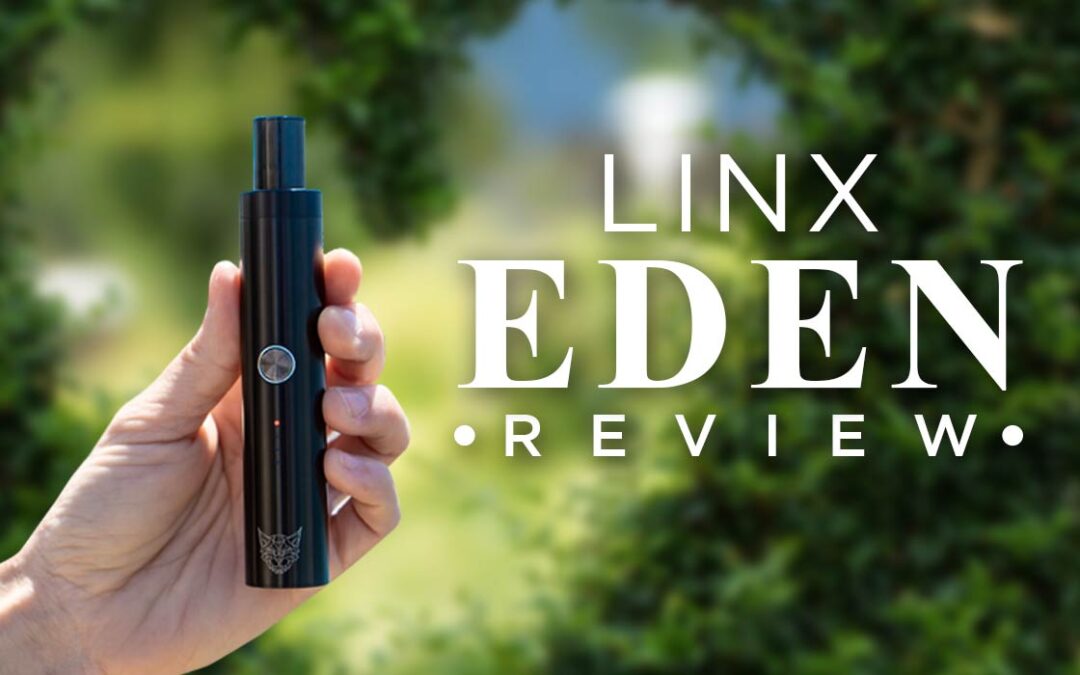 Linx Eden Review