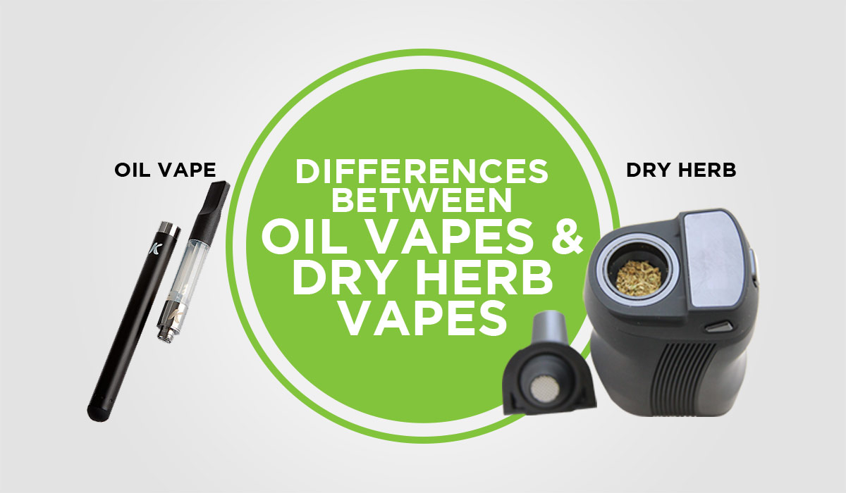 Differences Between Oil Vapes & Dry Herb Vapes
