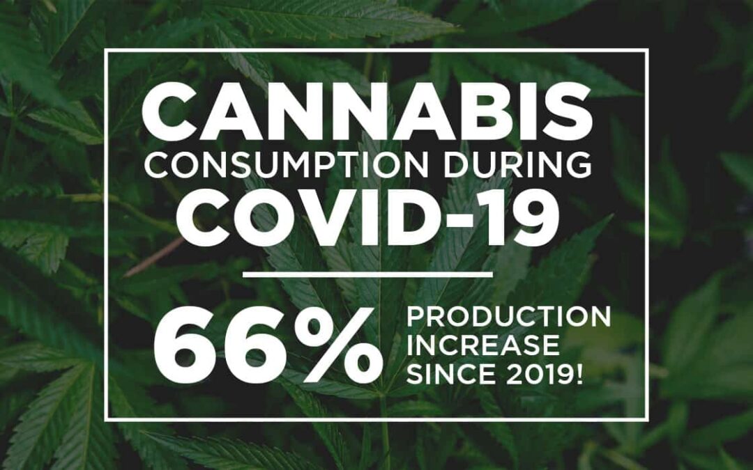 Cannabis consumption during COVID
