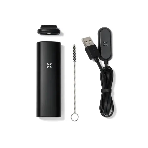 the pax mini kit comes with less accessories than the pax plus